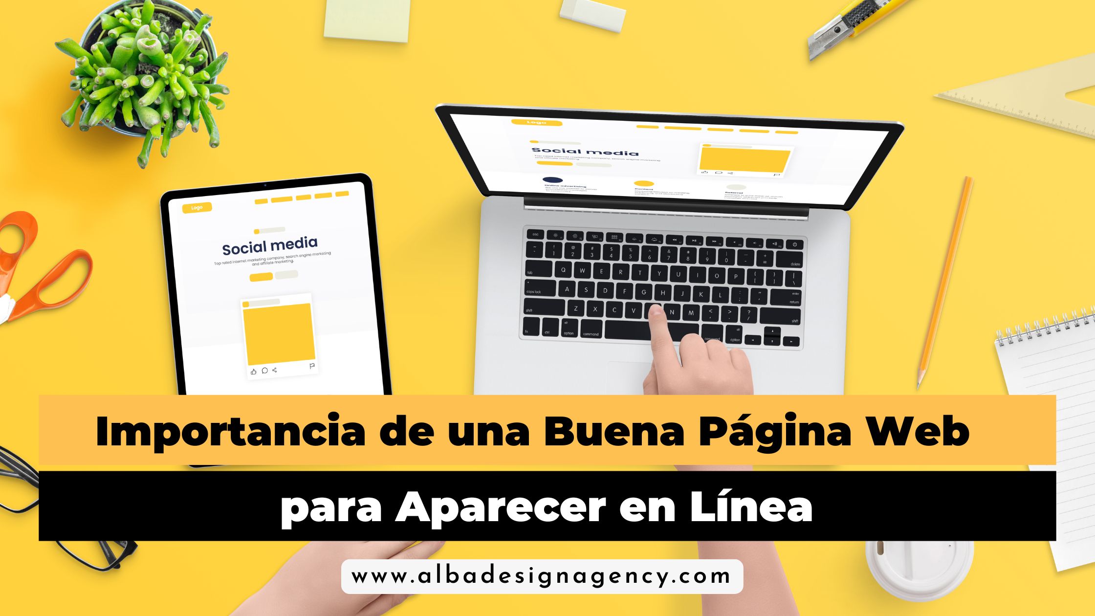 pagina web profesional