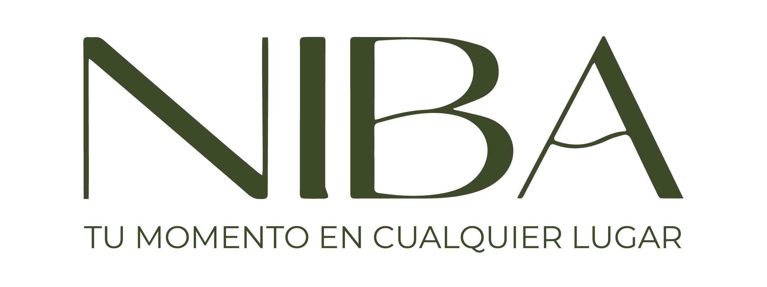 NIBA Logo 2026_Mesa de trabajo 1 copia